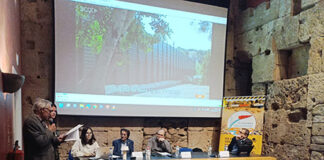 “No podem construir un mur de sis metres d’alçada davant el mar”