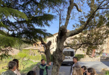 Una delegació de Bulgària visita cellers del Camp de Tarragona per conèixer models d’enoturisme